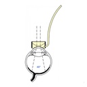 Lente di Peyman III ampio campo c/manico oro e inf.