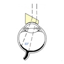 Lente di Tolentino prismatica  30°