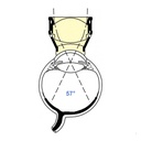 Lente ingrandente di Woldoff NA