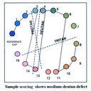 Test Lanthony Desaturato con 15+1 Capsule colorate