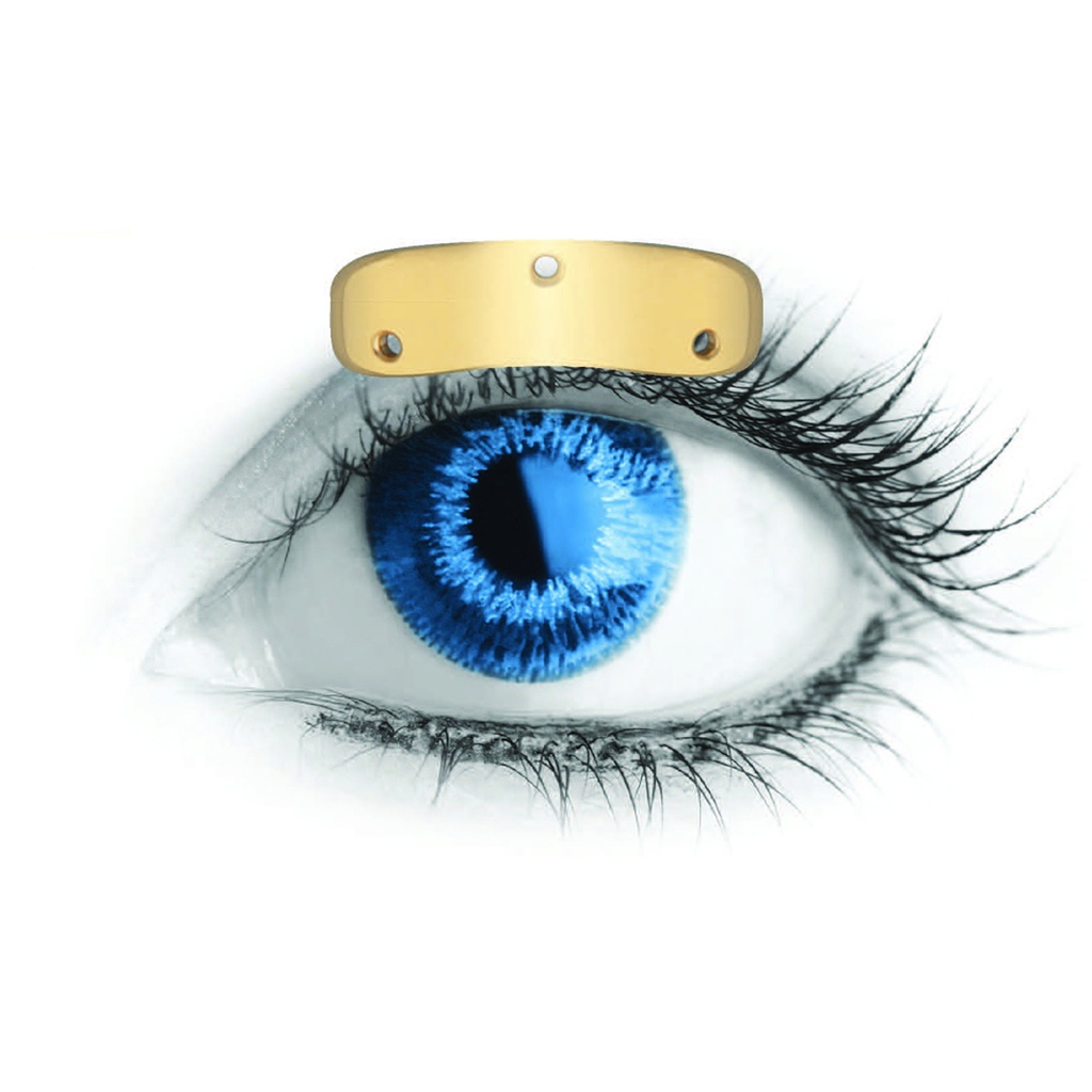 Peso palpebrale in Oro