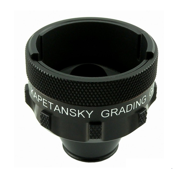 Goniolente graduata di Kapetansky