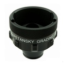 Goniolente graduata di Kapetansky